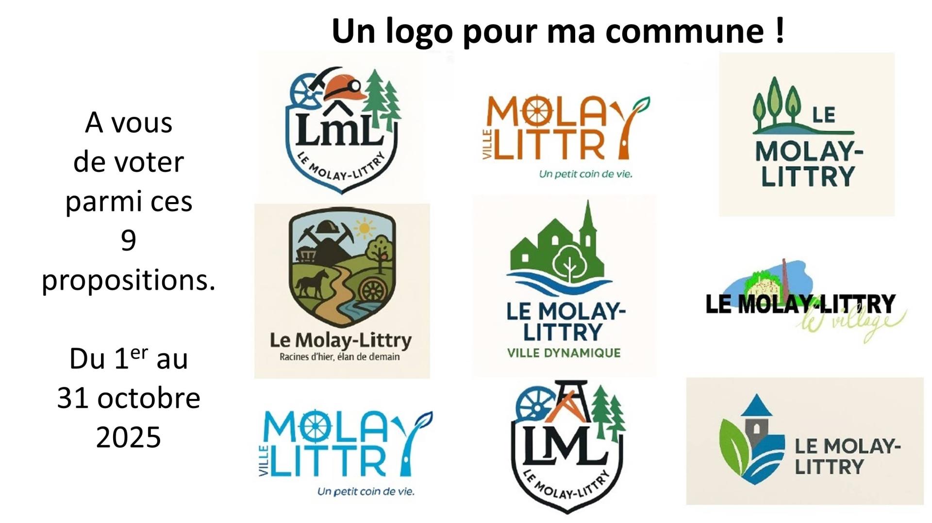 Slider_Logo_vote